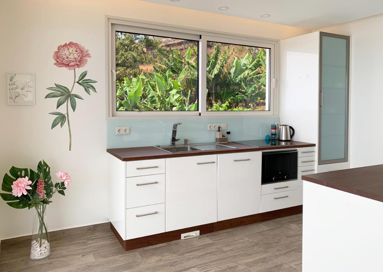 Holiday Apartment Ocean View 里贝拉布拉瓦 外观 照片