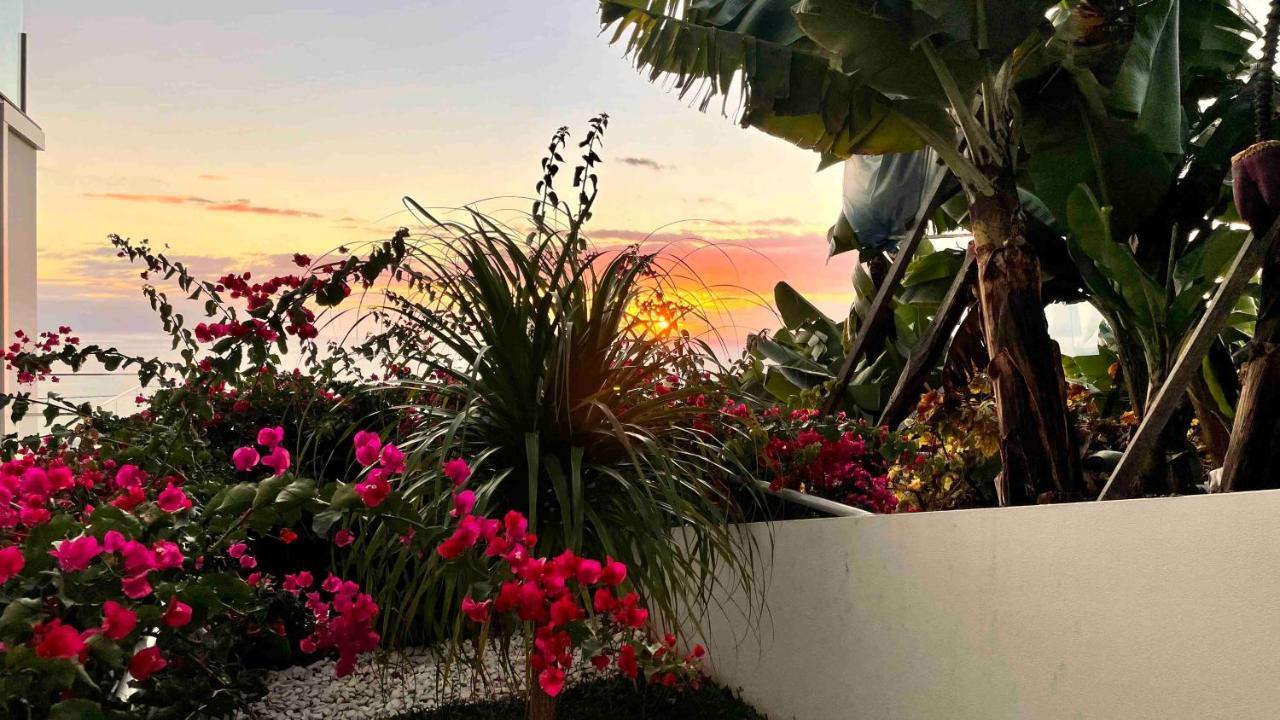 Holiday Apartment Ocean View 里贝拉布拉瓦 外观 照片